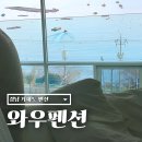 거제도 펜션 추천 와우펜션 거제 바다를 품고 있는 오션뷰 숙소 후기