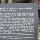 마이산 용암일대 암각서군 이미지