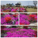 이순신공원 이미지