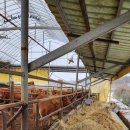 이레축산2 이미지