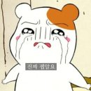 렉토피아 이미지