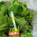 무지개농장 2 이미지