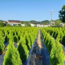 동트는농원 이미지