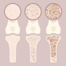 단우한의원 이미지