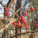 ㈜신광테크놀로지 이미지