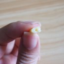 가평청솔잣 | 청솔잣_가평잣선물세트 / 가평잣가격