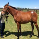 상우목장 이미지