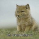 더베이카페