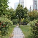 솔무공원 이미지