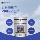 뉴힐링캠프 이미지