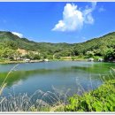 그린 낚시터 이미지