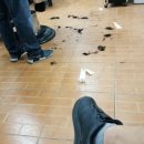 가위소리 남성컷 이미지