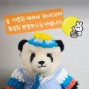 봉천사개미취 9.30 이미지