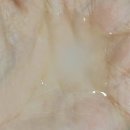 C-3 | 데이그 비타민C 3종 체험 후기