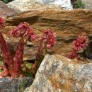 킹스학원 이미지