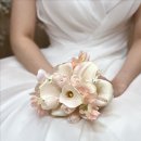 라온제나 이미지