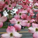 안녕네모 이미지