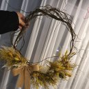 (원데이) 그린 플랜트 이미지