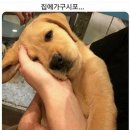 설렘 이미지