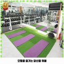 데카스론 이미지