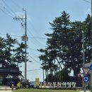 몽산포자동차야영장 | 태안 여행 | 태안캠핑장. 국립 몽산포자동차야영장(몽산포야영장) 가격/예약/구역/시설 후기