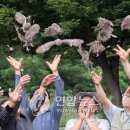 강원대학교 야생동물구조센터 이미지