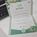 2026 청년취업사관학교 강서캠퍼스 8기 패션디자인 합격 후기 I 지원동기, 면접, 레벨테스트, 새싹