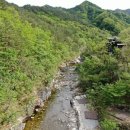 진고개계곡야영장 이미지