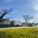 이아섬2 이미지