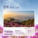 철쭉피는황매골마을 이미지