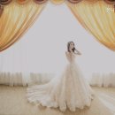 농협신니 이미지