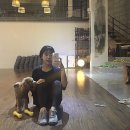 토리켄넬 이미지