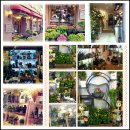 월드플라워 이미지