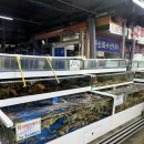 르노삼성자동차서비스코너 매천점 | 대구 매천수산시장 대게, 전어 포장 후기! 꽃게, 킹크랩, 전복 시세