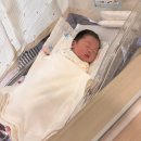 그대안에산부인과의원 | 출산일기 문래 아란태산부인과 김낙연 원장님 2시반 반 컷 자연분만 후기 순산 꿀팁