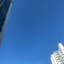 점프슛 | 사람이 사람을 좋아해서 세상이 다 좋아진 이야기