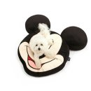 미키애견 이미지