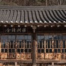 스테이영양둘째