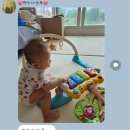 남해-246 이미지