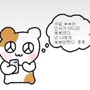 또또행복 이미지