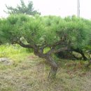 털보네농장 이미지