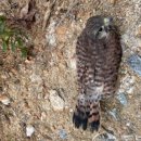 전병준동물병원 이미지