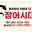 장어시대 이미지