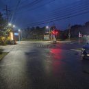 꿈에본꽃돼지 이미지