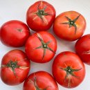 토마토 이미지