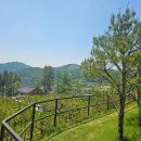 초기목장 이미지