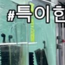 에이투비수족관