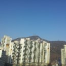 광일정육점