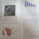 알피짐 이미지