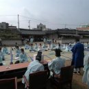 영월군 문화예술회관 Daum카페